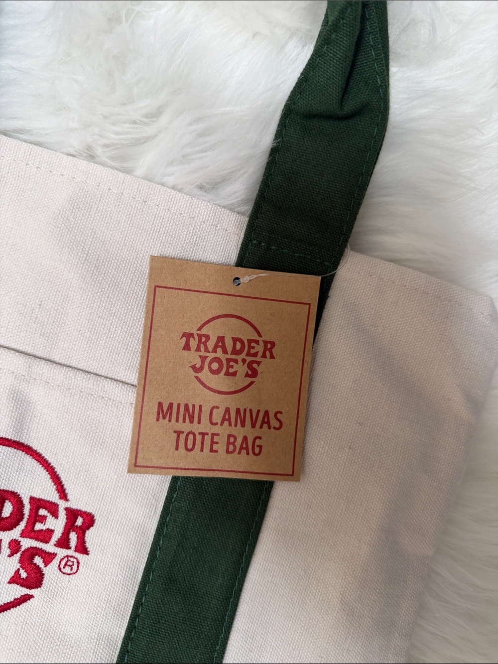 NWT Trader Joe’s Green  Mini Canvas Tote Bag - Picture 3 of 7